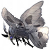 moth hunter grey.jpg