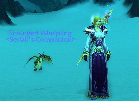 Scourged_Whelpling_2-9-13.JPG