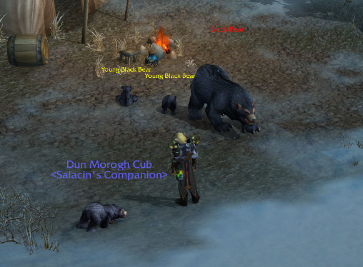 wowpetcapture.PNG