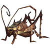 cricket brown.jpg