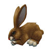 rabbit brown.jpg