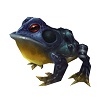frog blue.jpg