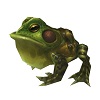 frog green.jpg