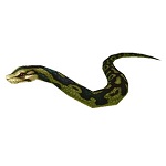 snake green.jpg
