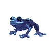 frogspottedblue.jpg