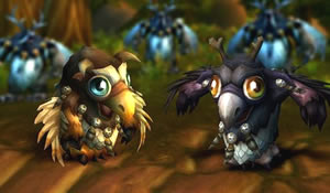 Moonkin Hatchlings