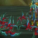 Known Minipet Bug