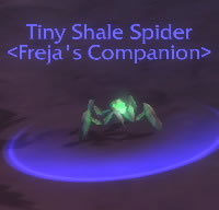 Tiny Shale Spider