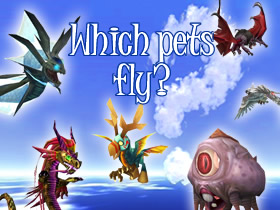 So Which Pets Fly? Click to find out!