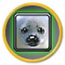 WarcraftPets Express